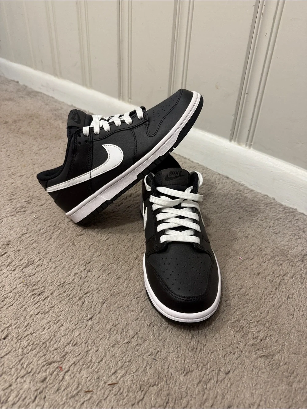 Nike Dunk Low- Blank Panda 2.0